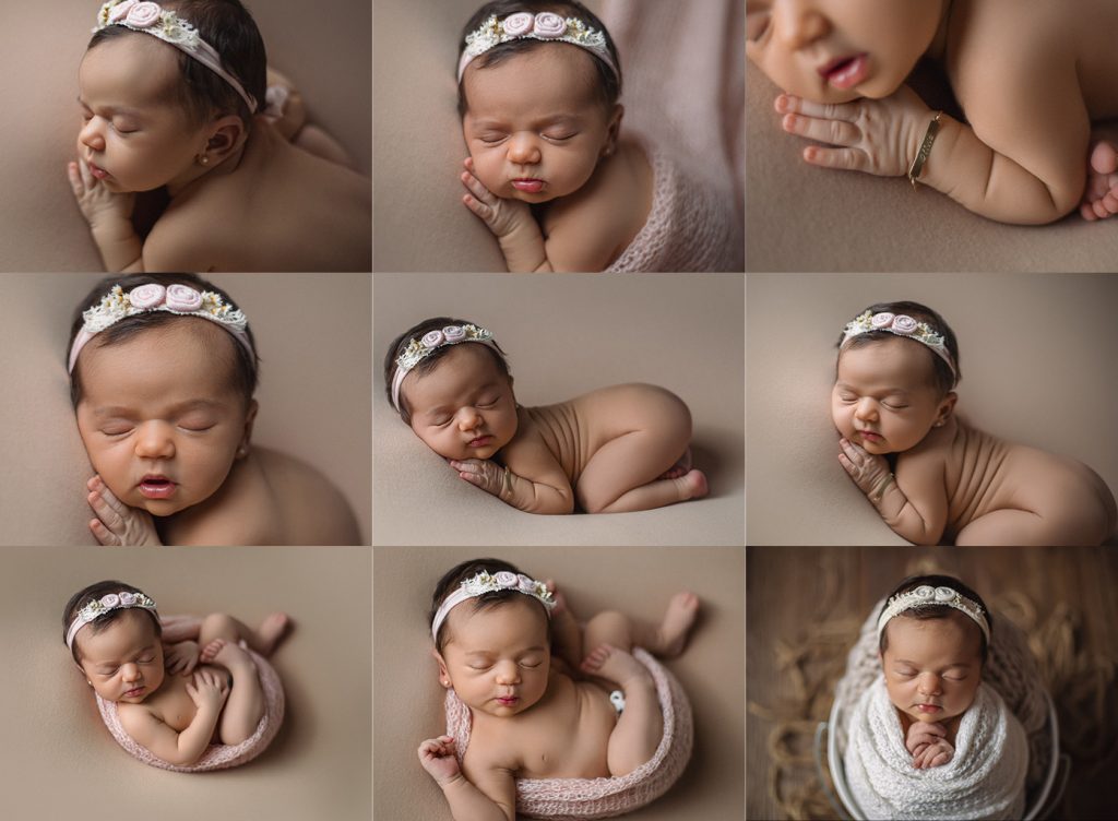 sequencia poses newborn o ciclo da vida